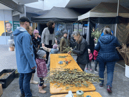 20240323_Palmbu_03